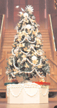 Little Tree
